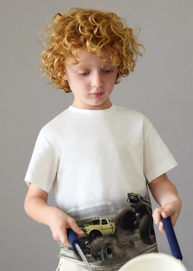 [3071] Camiseta Carros Monster (3)